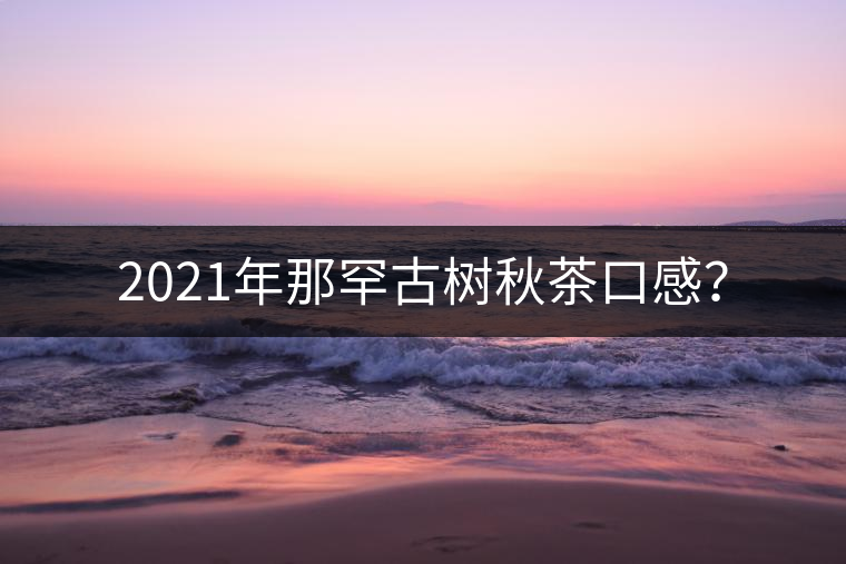 2021年那罕古樹秋茶口感？