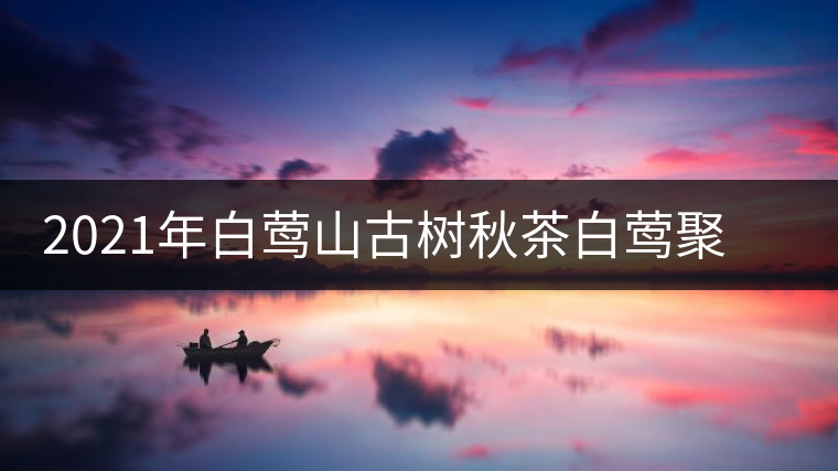 2021年白鶯山古樹秋茶白鶯聚居之地，普洱茶樹的天堂