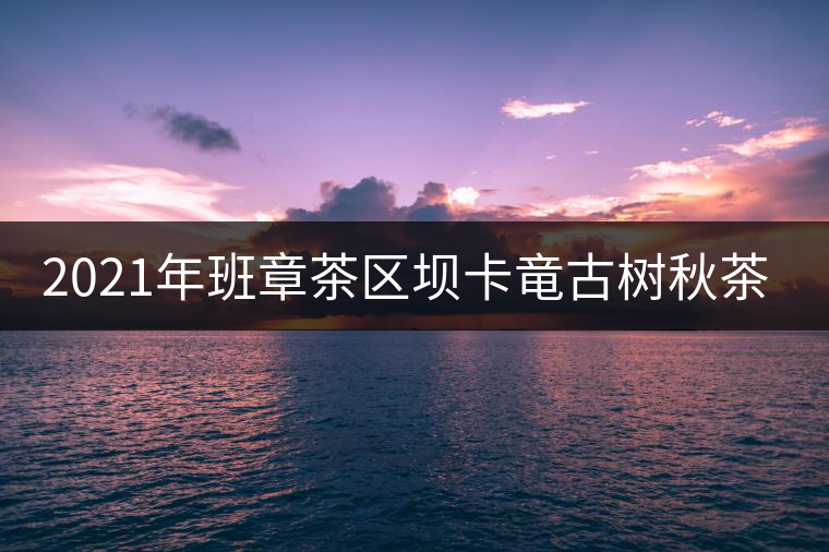 2021年班章茶區(qū)壩卡竜古樹秋茶多少錢一公斤？