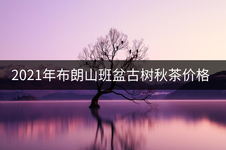 2021年布朗山班盆古樹(shù)秋茶價(jià)格？