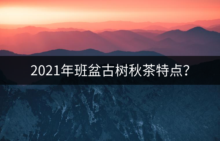2021年班盆古樹(shù)秋茶特點(diǎn)？