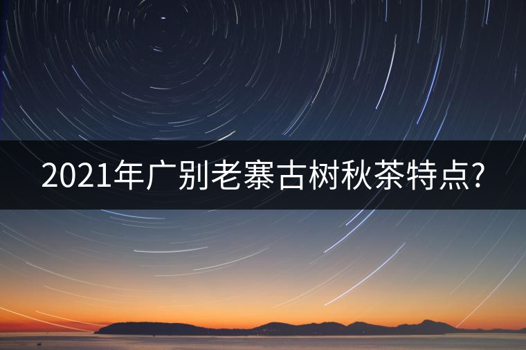 2021年廣別老寨古樹秋茶特點?