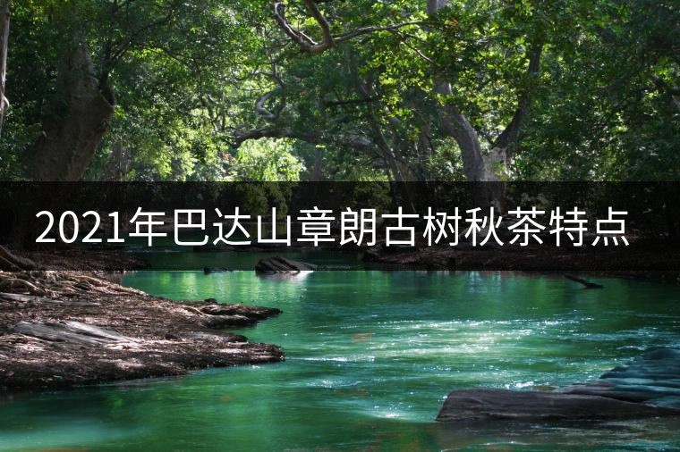 2021年巴達山章朗古樹秋茶特點？