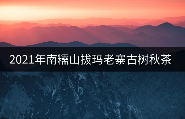 2021年南糯山拔瑪老寨古樹秋茶價格？