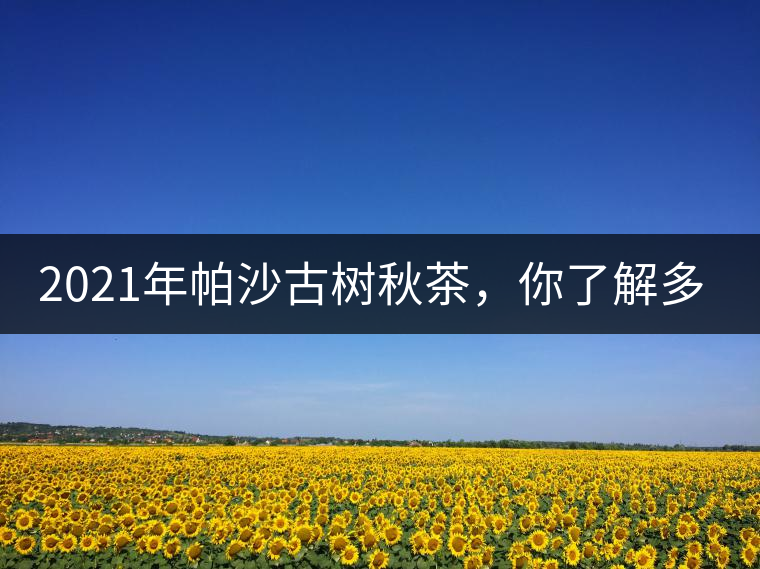 2021年帕沙古樹秋茶，你了解多少？