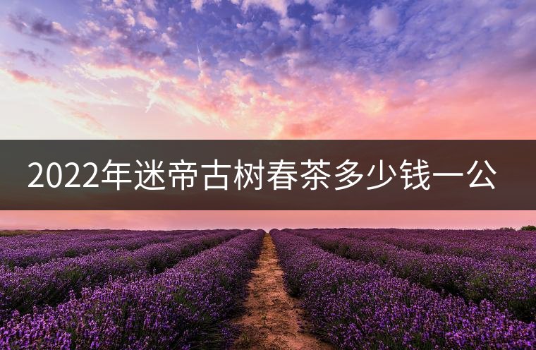 2022年迷帝古樹春茶多少錢一公斤？