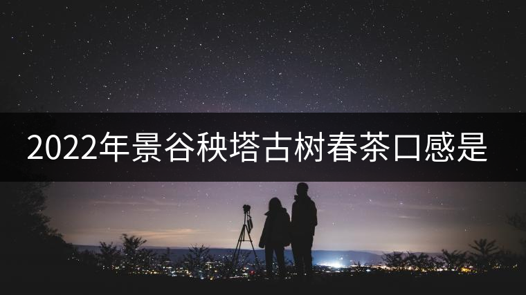 2022年景谷秧塔古樹(shù)春茶口感是什么？