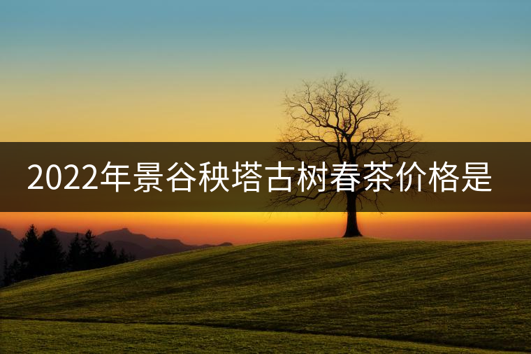 2022年景谷秧塔古樹春茶價格是多少？