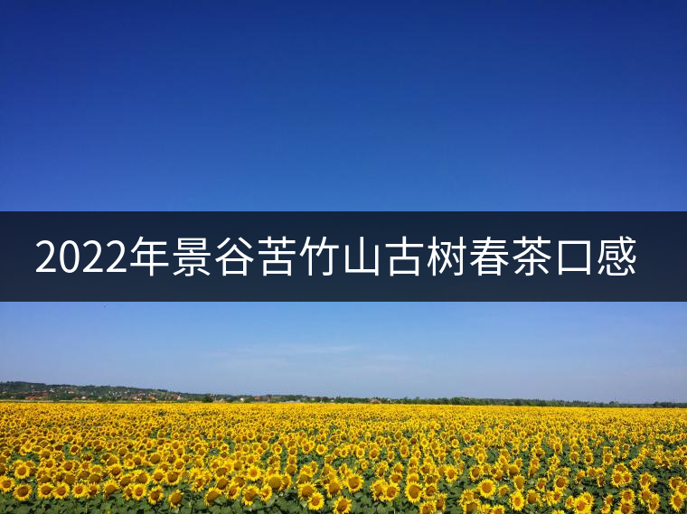 2022年景谷苦竹山古樹(shù)春茶口感？