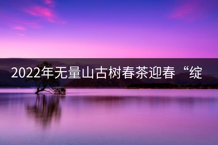 2022年無(wú)量山古樹春茶迎春“綻放”！