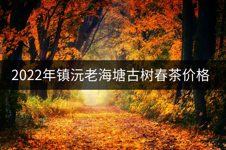 2022年鎮(zhèn)沅老海塘古樹(shù)春茶價(jià)格？