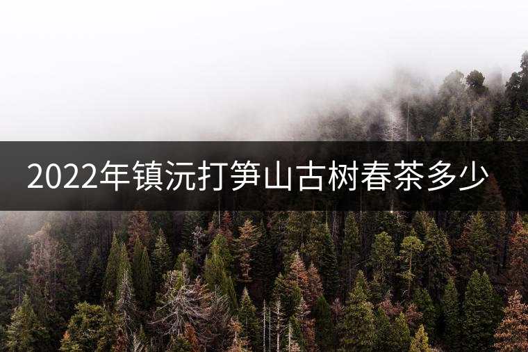2022年鎮(zhèn)沅打筍山古樹春茶多少錢一公斤？