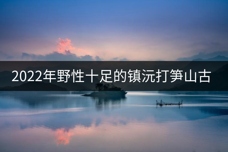 2022年野性十足的鎮(zhèn)沅打筍山古樹春茶！