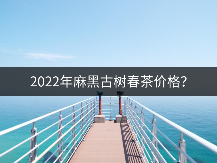 2022年麻黑古樹春茶價格？