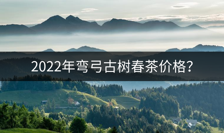 2022年彎弓古樹春茶價(jià)格？
