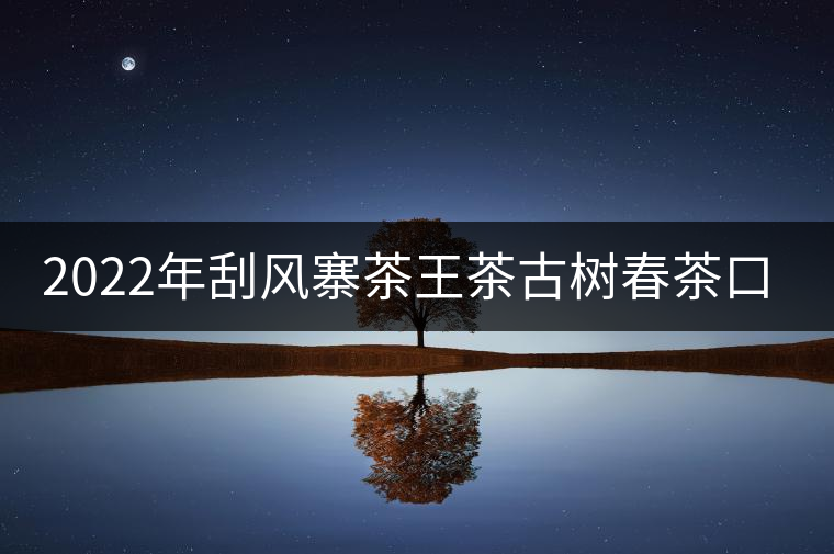 2022年刮風(fēng)寨茶王茶古樹春茶口感？