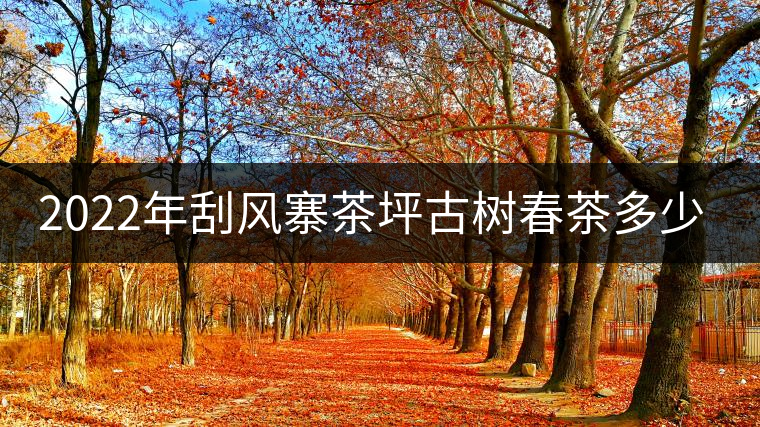 2022年刮風(fēng)寨茶坪古樹(shù)春茶多少錢一公斤？