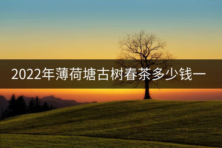 2022年薄荷塘古樹春茶多少錢一公斤？