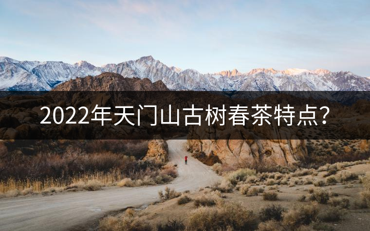 2022年天門山古樹春茶特點(diǎn)？