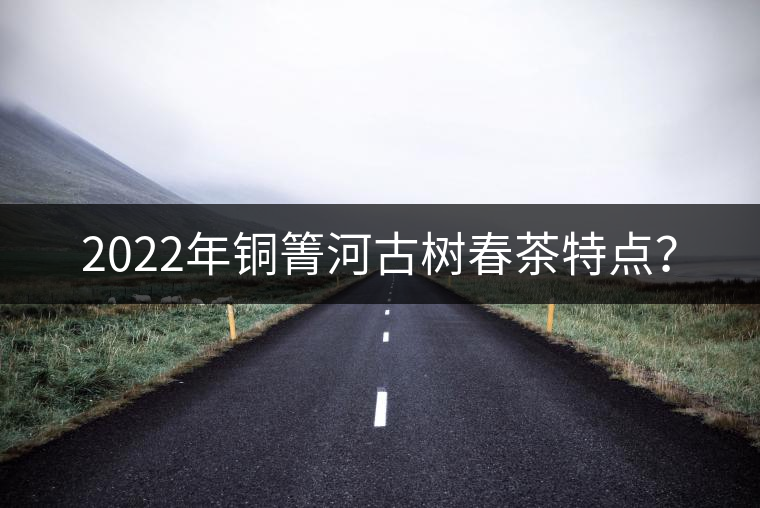 2022年銅箐河古樹(shù)春茶特點(diǎn)？