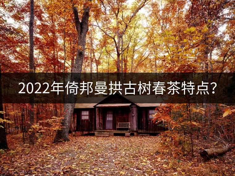 2022年倚邦曼拱古樹(shù)春茶特點(diǎn)？