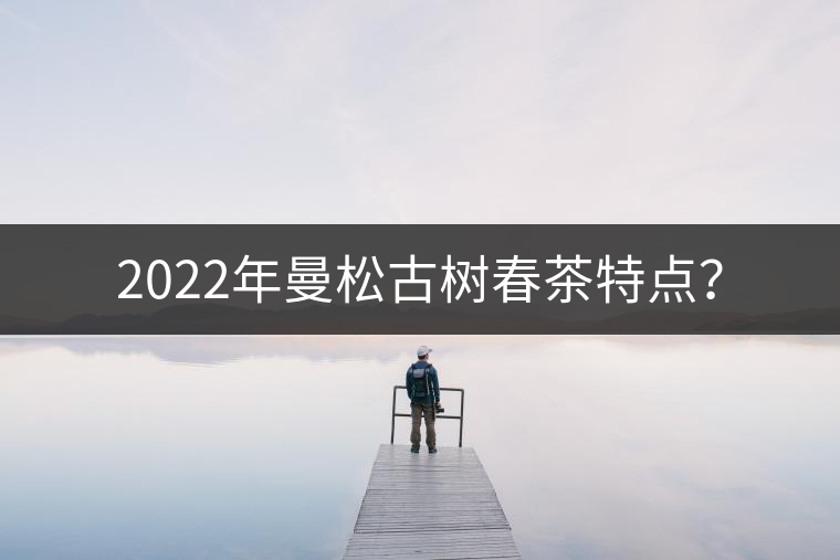 2022年曼松古樹春茶特點(diǎn)？