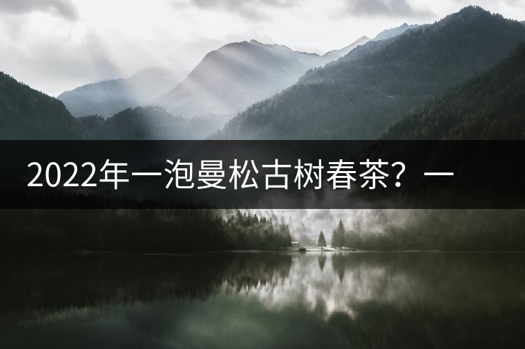 2022年一泡曼松古樹春茶？一飲帝王味……
