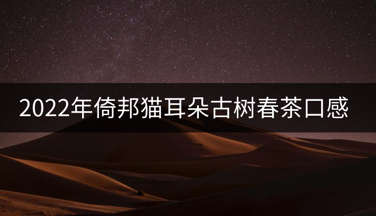 2022年倚邦貓耳朵古樹春茶口感？