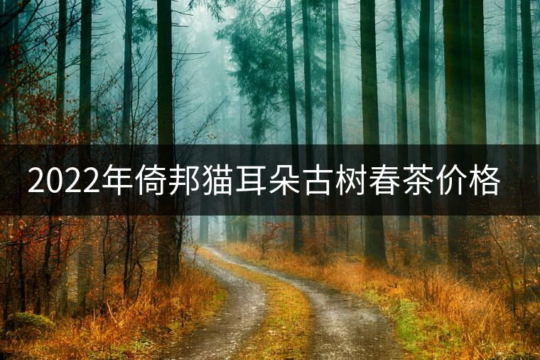2022年倚邦貓耳朵古樹春茶價格？