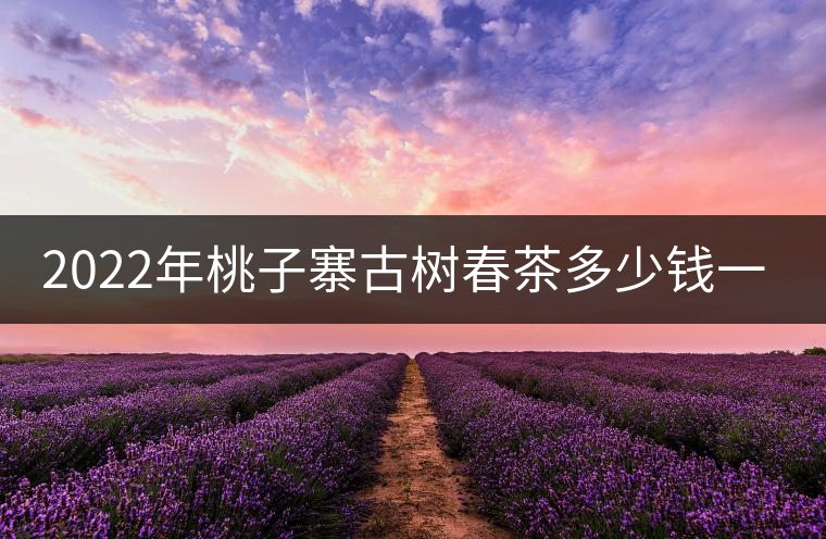 2022年桃子寨古樹春茶多少錢一公斤？