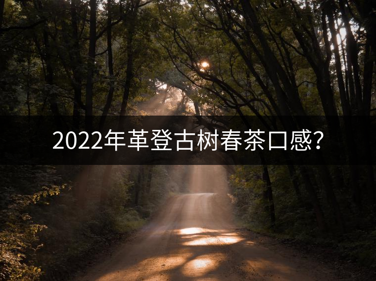 2022年革登古樹春茶口感？