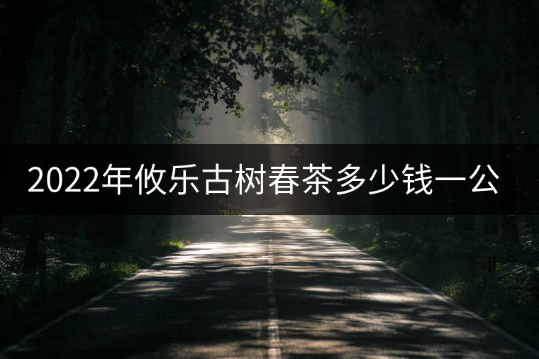 2022年攸樂(lè)古樹(shù)春茶多少錢(qián)一公斤？