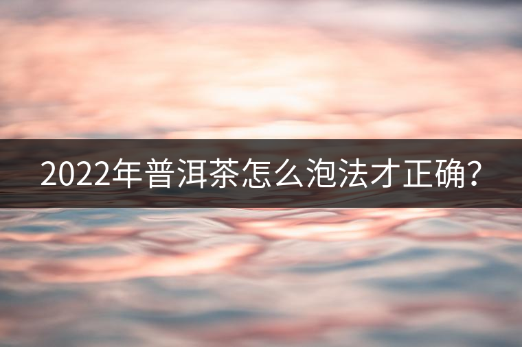 2022年普洱茶怎么泡法才正確？