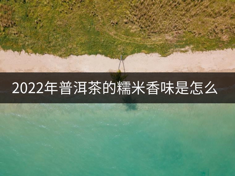2022年普洱茶的糯米香味是怎么來的？