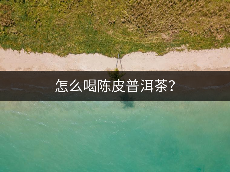 怎么喝陳皮普洱茶？