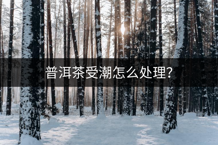 普洱茶受潮怎么處理？