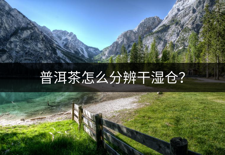 普洱茶怎么分辨干濕倉？