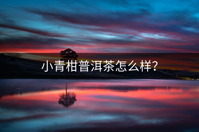 小青柑普洱茶怎么樣？
