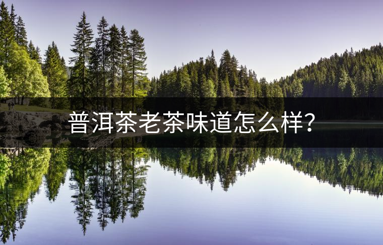 普洱茶老茶味道怎么樣？