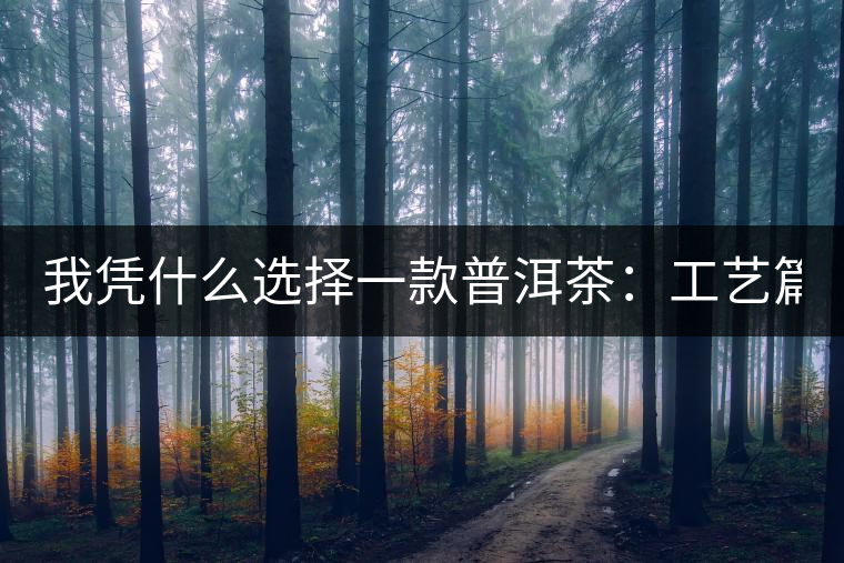 我憑什么選擇一款普洱茶：工藝篇？