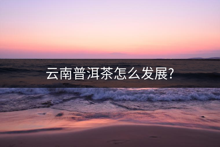 云南普洱茶怎么發(fā)展?
