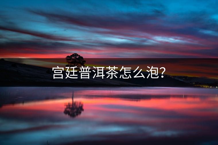 宮廷普洱茶怎么泡？