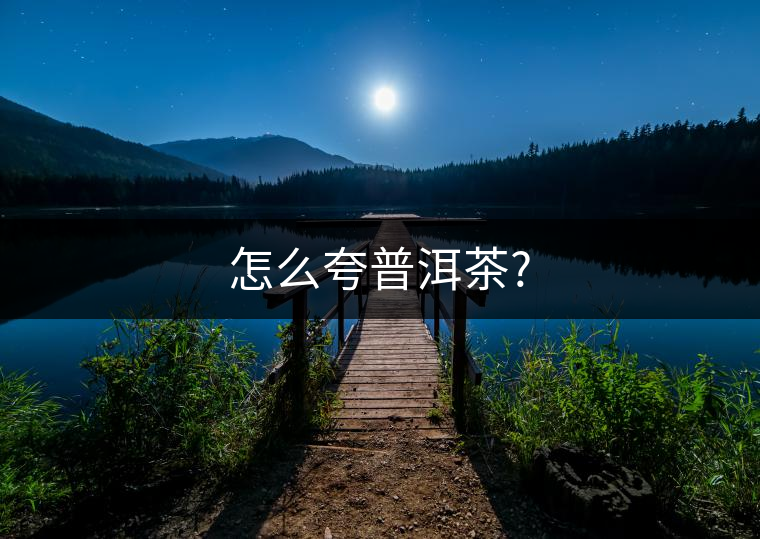 怎么夸普洱茶?