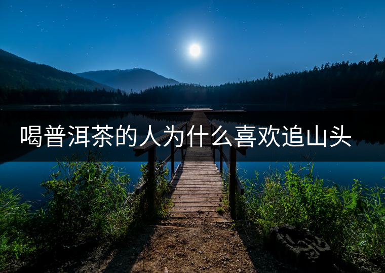 喝普洱茶的人為什么喜歡追山頭？無非就是這幾個原因