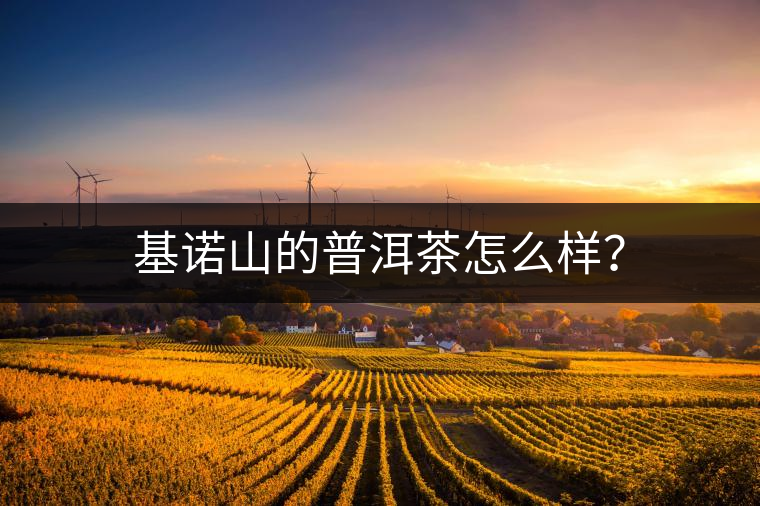 基諾山的普洱茶怎么樣？