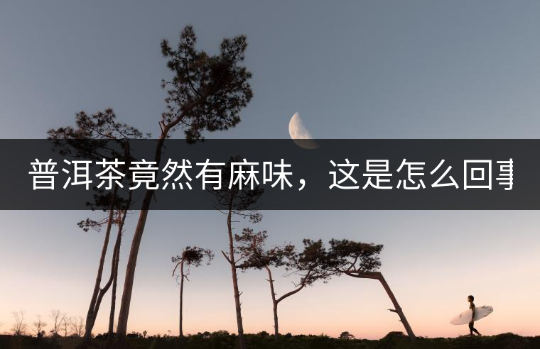 普洱茶竟然有麻味，這是怎么回事？