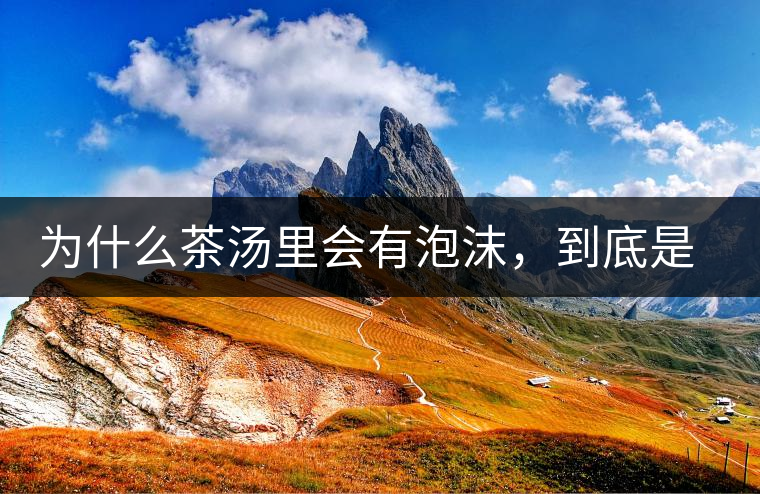 為什么茶湯里會(huì)有泡沫，到底是怎么回事？