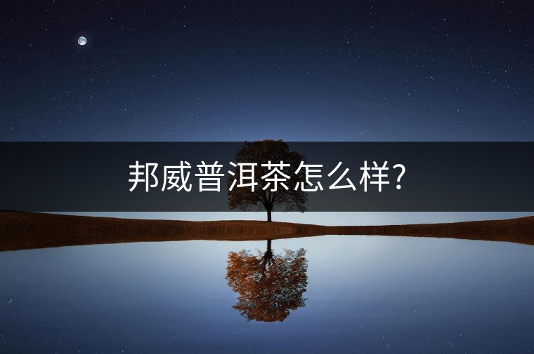 邦威普洱茶怎么樣?