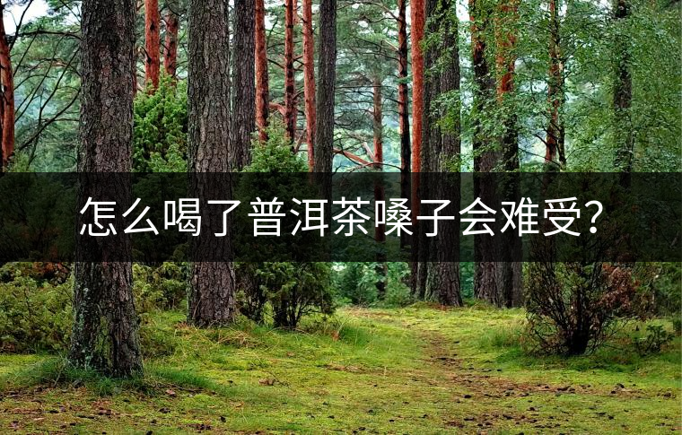 怎么喝了普洱茶嗓子會難受？