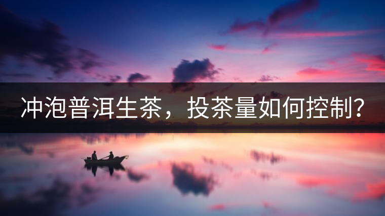 沖泡普洱生茶，投茶量如何控制？